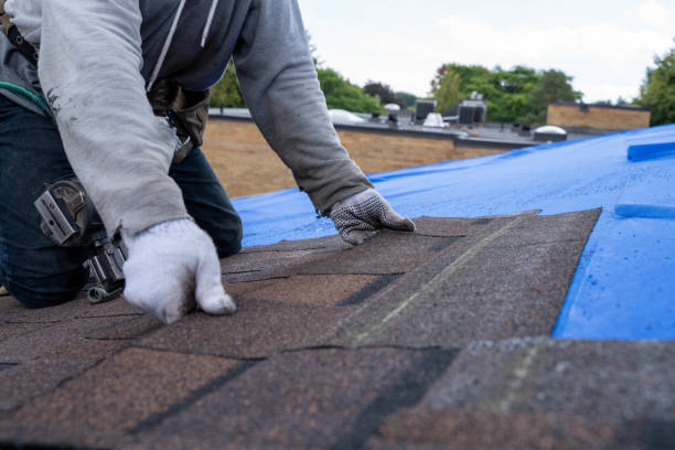 Quick and Trustworthy Emergency Roof Repair Services in Mount Jackson, VA