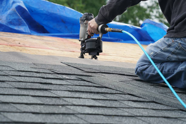 Best Shingle Roofing Installation  in Mount Jackson, VA