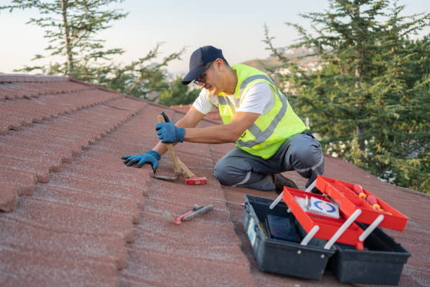 Best Metal Roofing Contractor  in Mount Jackson, VA