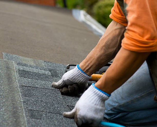 Quick and Trustworthy Emergency Roof Repair Services in Mount Jackson, VA