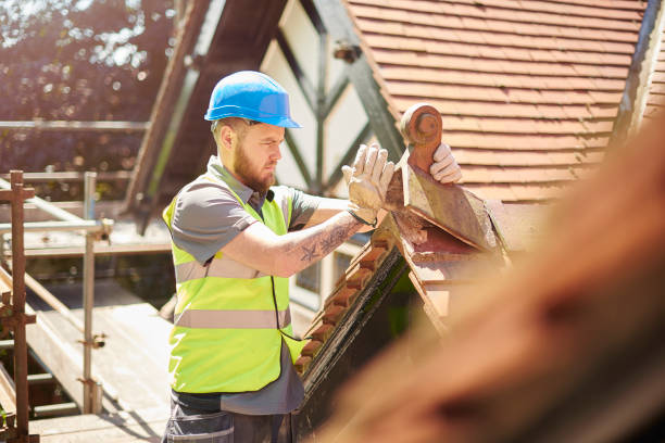Best Best Roofing Contractors  in Mount Jackson, VA