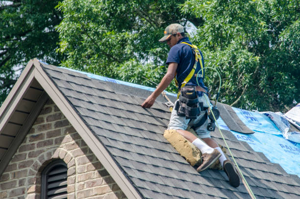Roof Waterproofing Services in Mount Jackson, VA